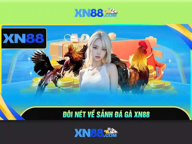 Đánh Giá XN88