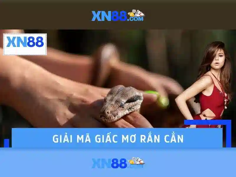 Công Cụ Hỗ Trợ Người Chơi Có Trách Nhiệm