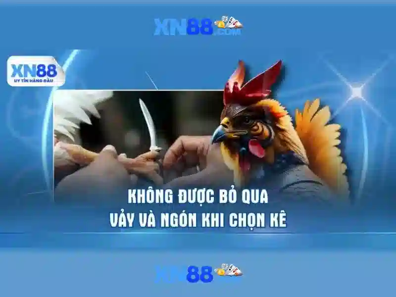 Trải nghiệm xn88 game