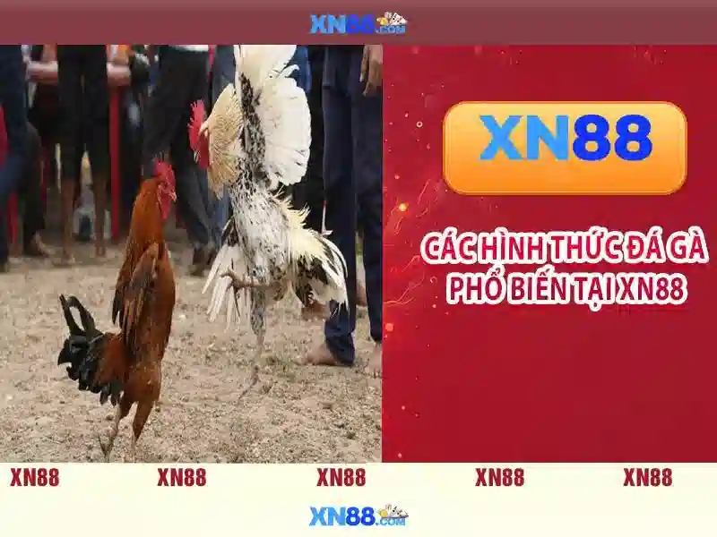 Đăng Nhập XN88