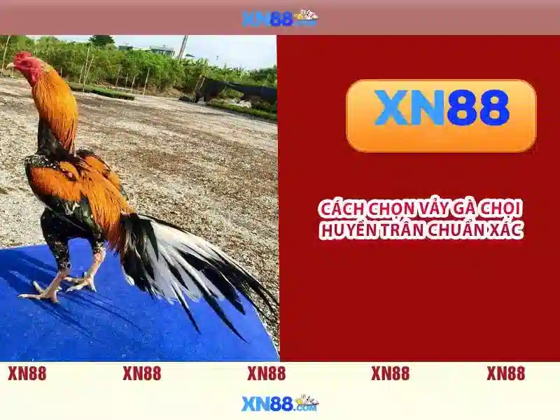 Trải Nghiệm Slot Đỉnh Cao Cùng XN88