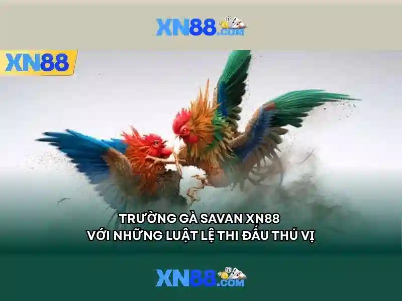Kinh Nghiệm Chơi Slot XN88