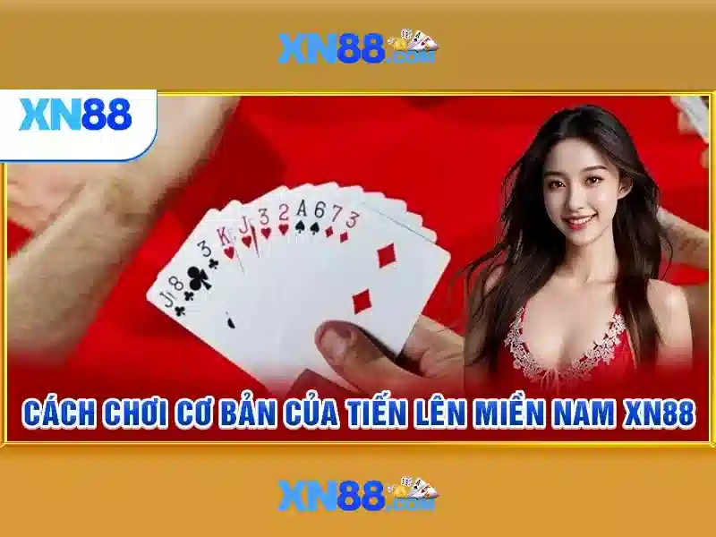 Quy trình nạp rút