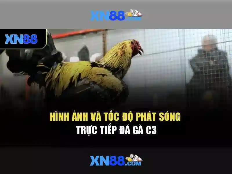 Casino XN88