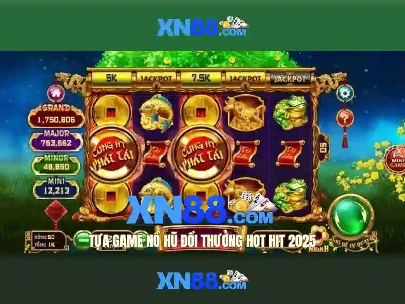 Điều Khoản Và Điều Kiện XN88