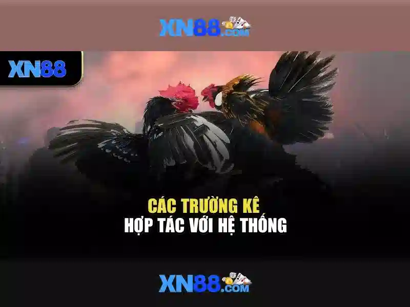 Cách Chơi Slot Hiệu Quả