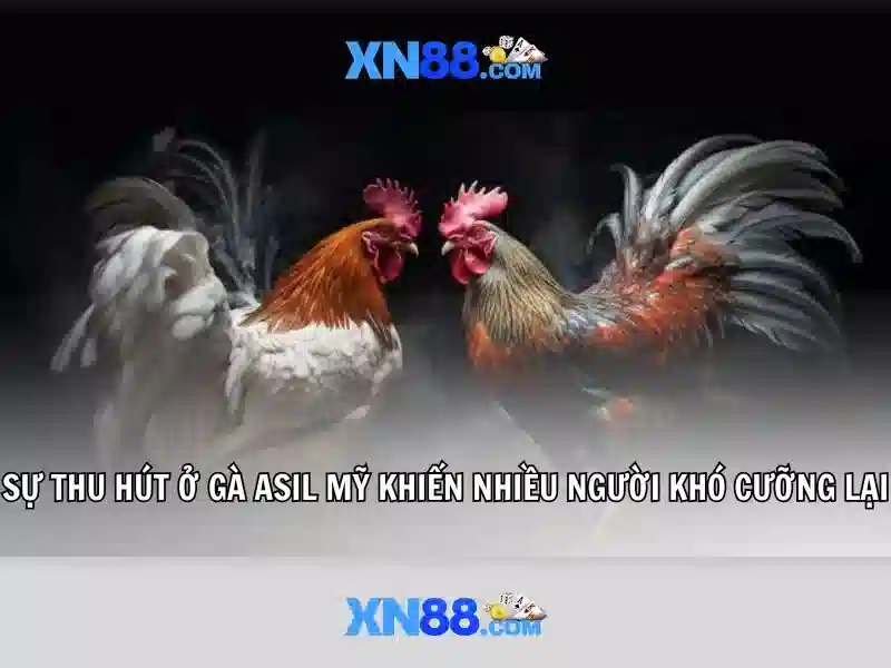 XN88 - Trải Nghiệm Slot Đỉnh Cao Với Các Trò Chơi Tương Tác 2026