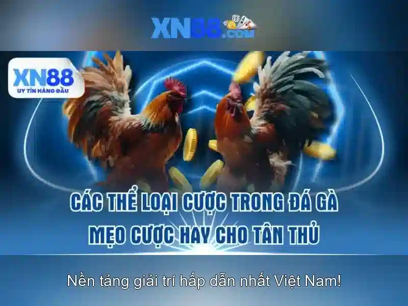 Trải Nghiệm Slot