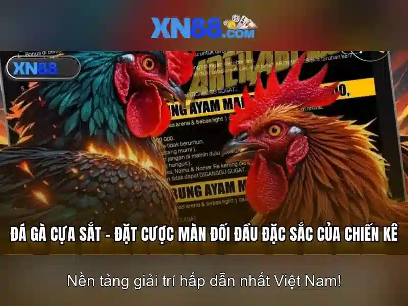 xn88 là gì