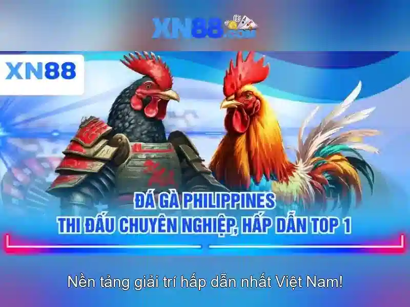 Đặc Điểm Nổi Bật Của XN88