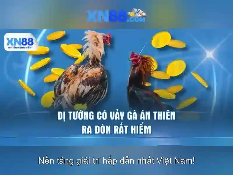 Cách Tải App XN88