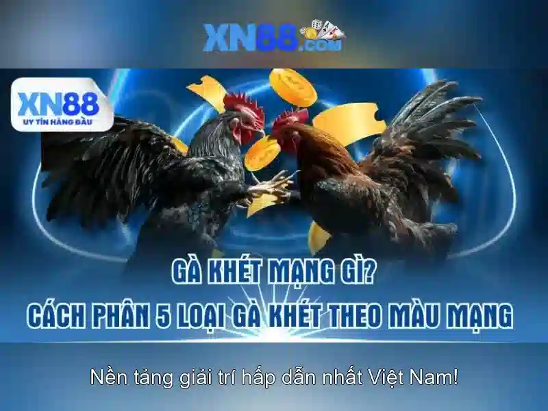XN88 Slot