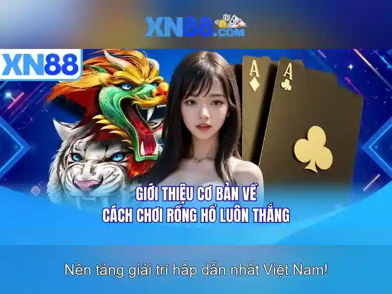 Ưu Điểm Nổi Bật Của XN88