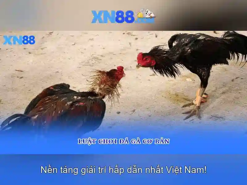 Khuyến mãi slot hấp dẫn