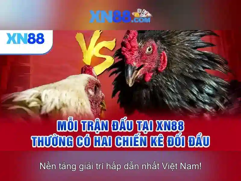 XN88 có uy tín không