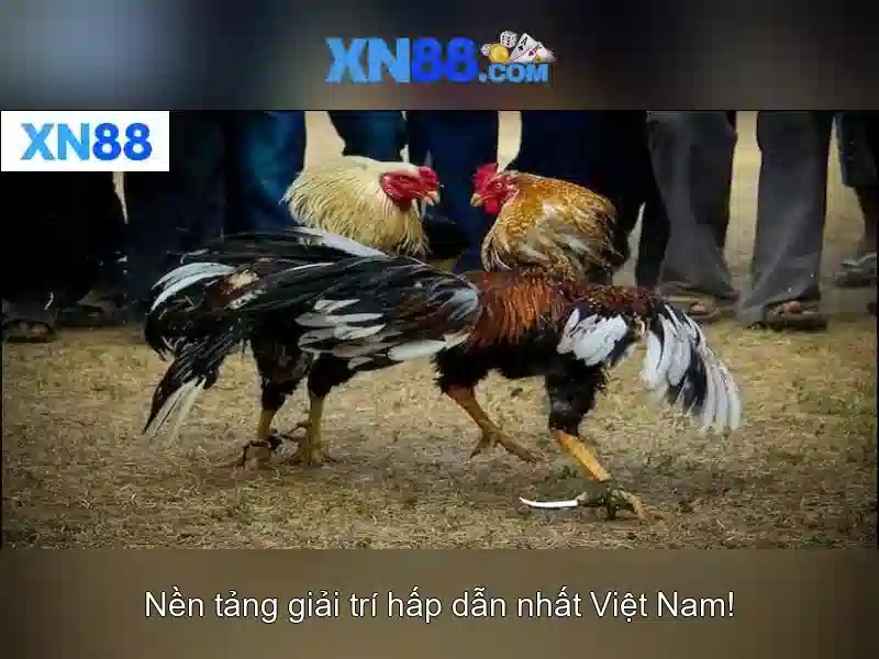 Hỗ trợ khách hàng chuyên nghiệp