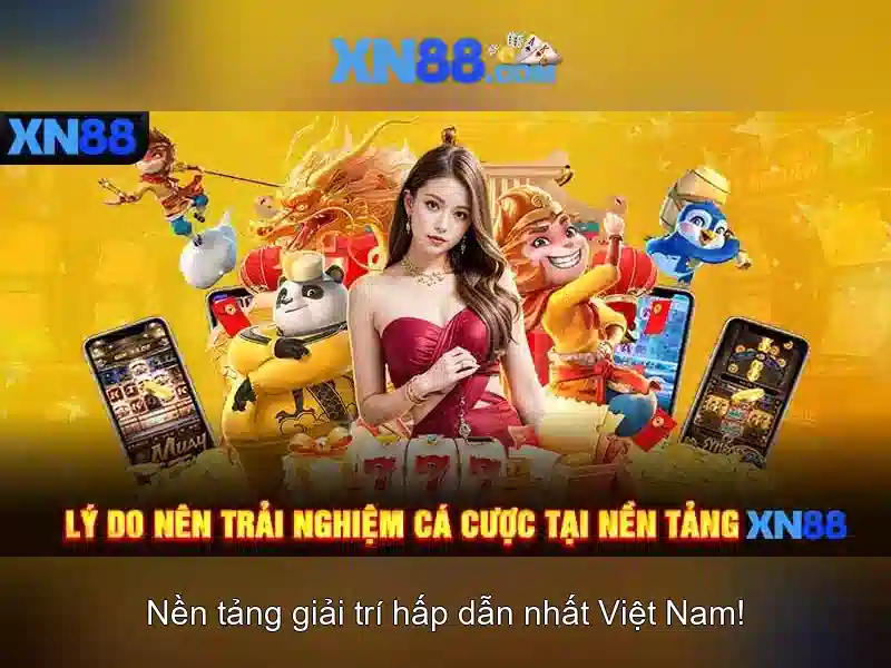 Dịch Vụ XN88
